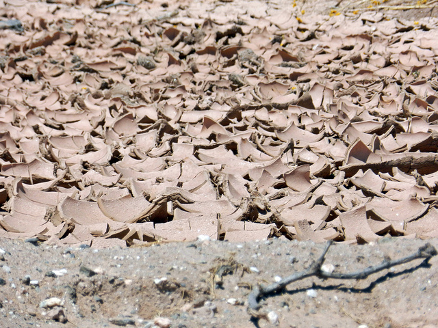 Fotos de fenómenos naturales que destrozan comunidades probablemente causados por cambio climático