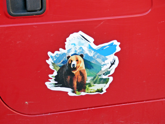 Chocolate por la noticia: cuatro osos murieron de un ataque cardiaco causado por teobromina