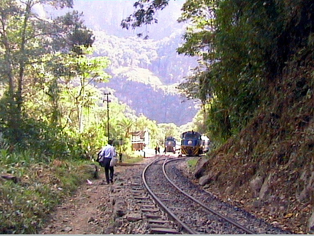 La Comisión Europea pone a la creosota en la picota
