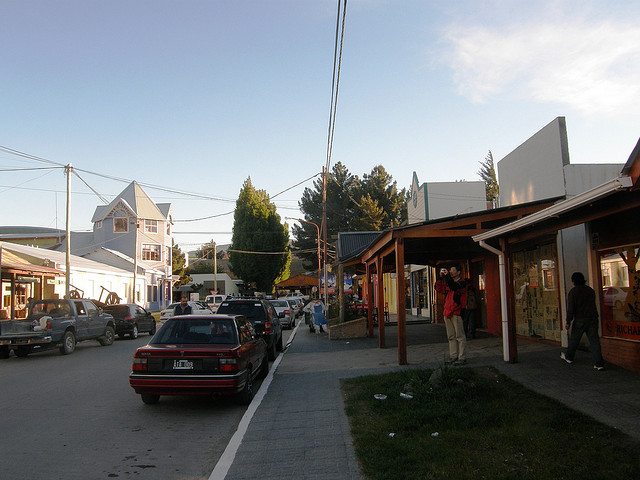 Preocupan en El Calafate 10 perros muertos por envenenamiento 