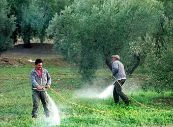 Ignoring adjuvant toxicity falsifies the safety profile of commercial pesticides, study