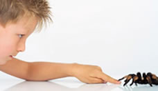 ¿Que saben en Corrientes sobre animales ponzoñosos?