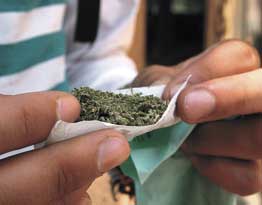 Marihuana cada vez más polenta