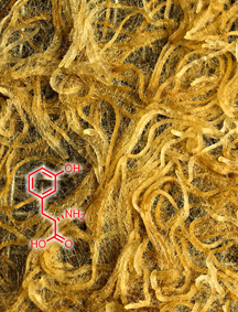 Natural herbicide