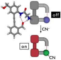 Original detector molecule for cyanide
